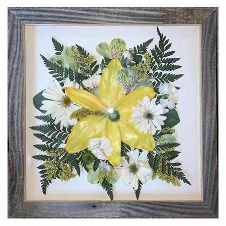 Yellow and white pressed flowers with ferns