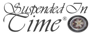 Suspended In Time Inc.