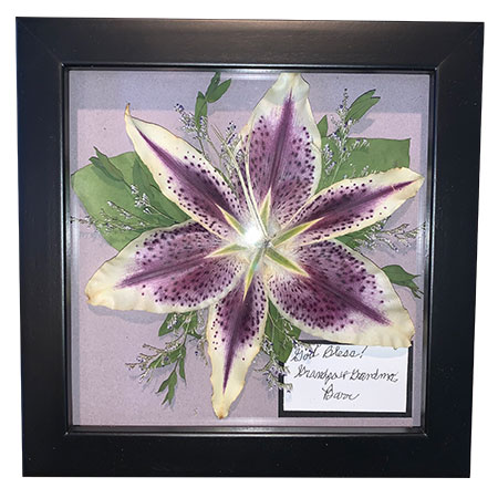 Single pressed flower preserved as a memorial tribute